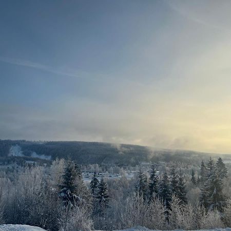 Koselig Rom I Rolige Omgivelser Amot Luaran gambar