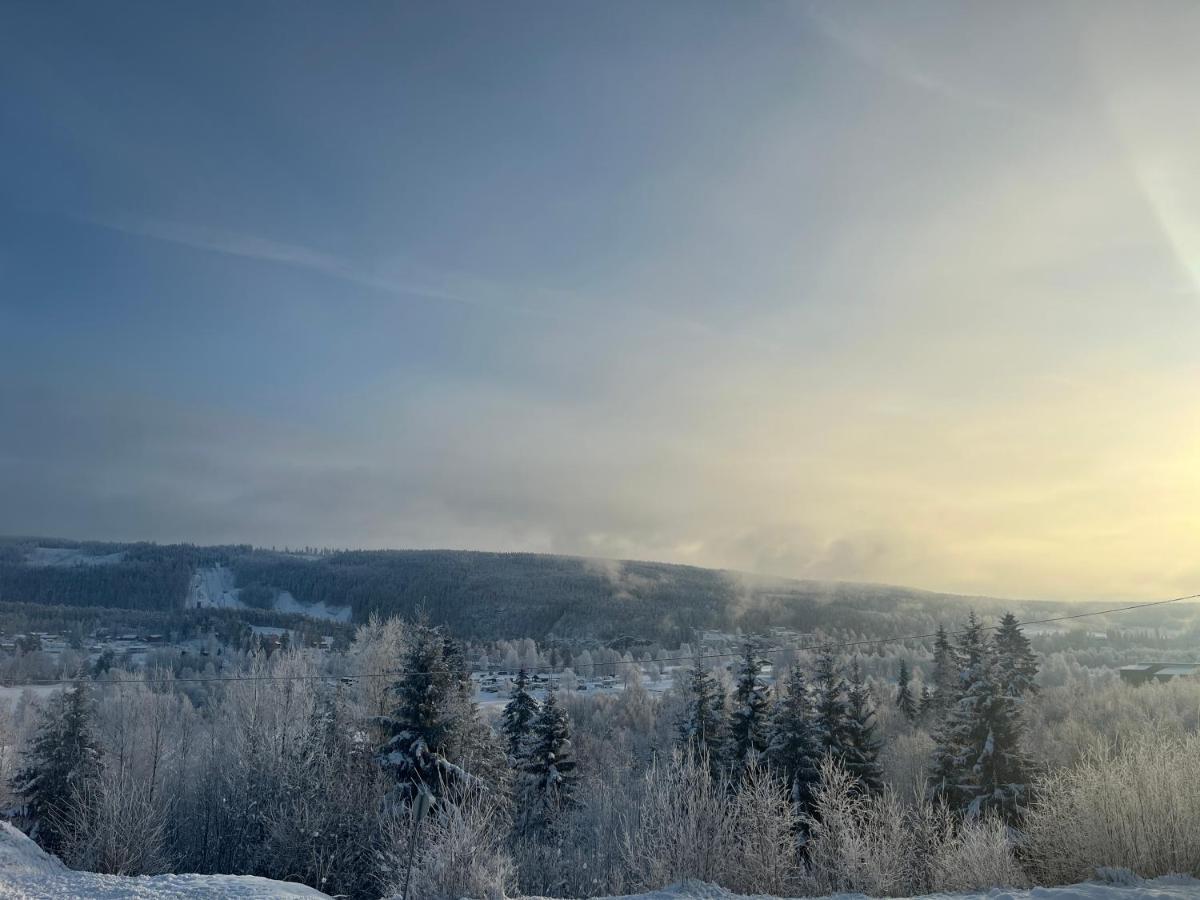 Koselig Rom I Rolige Omgivelser Amot Luaran gambar